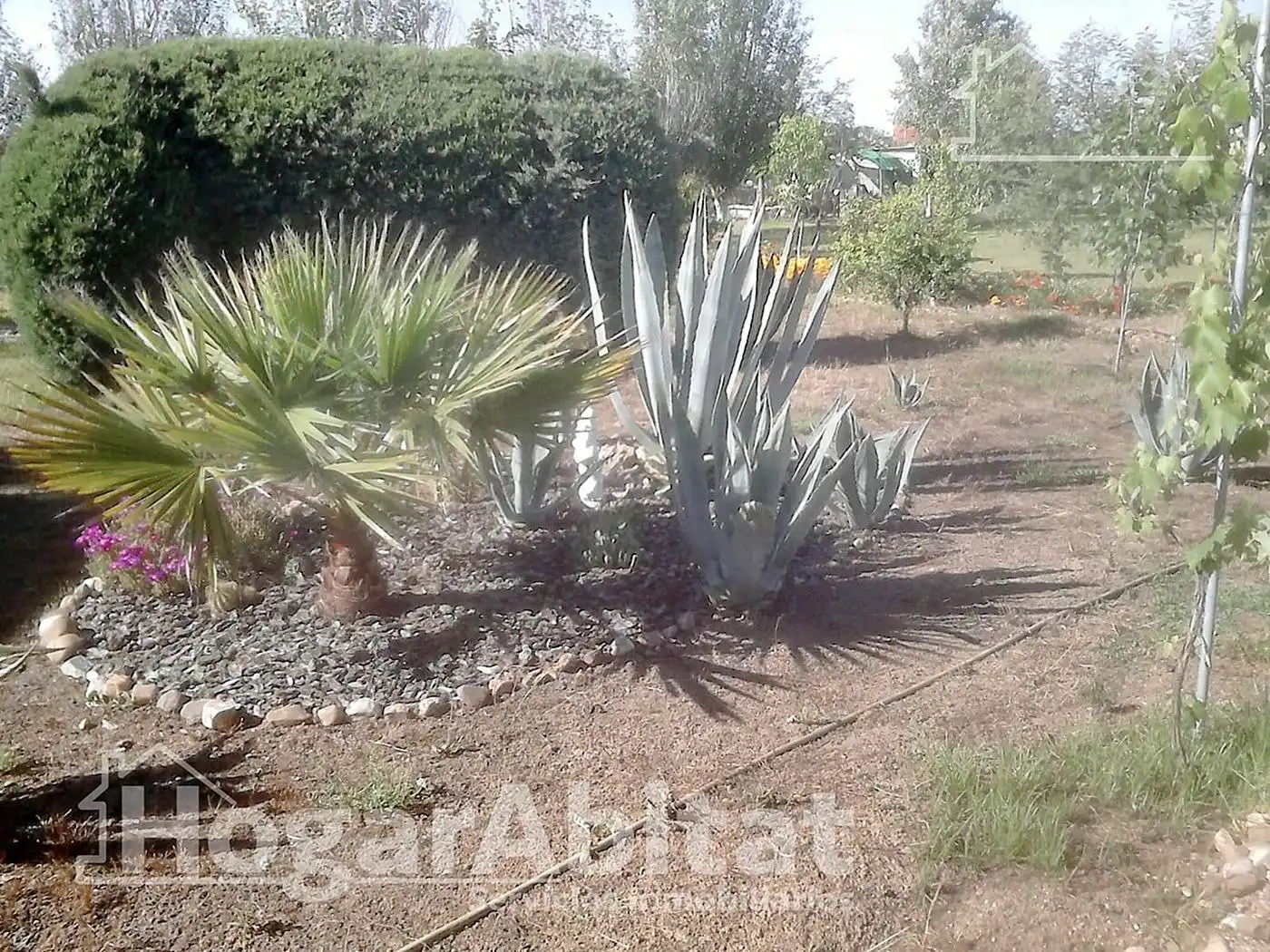 Jardí de Casa o xalet en venda en Badajoz amb Calefacció, Jardí privat i Terrassa