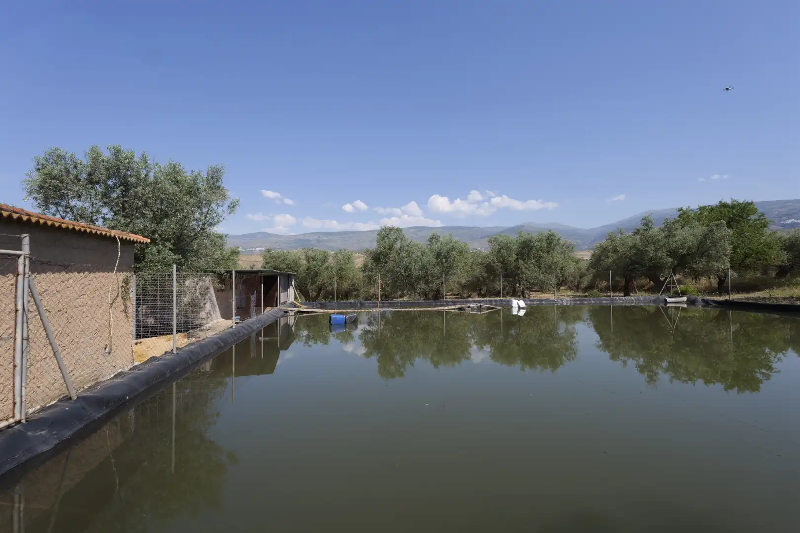 Swimming pool of Country homes for sale in Ugíjar