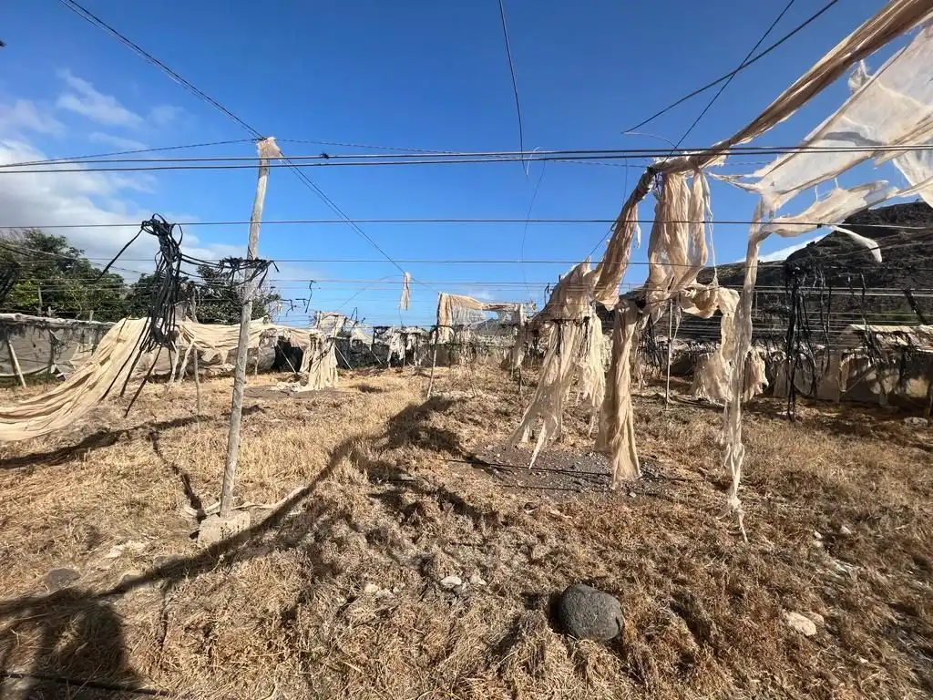 Terreny rústic en venda a La Aldea de San Nicolás, imagen 10