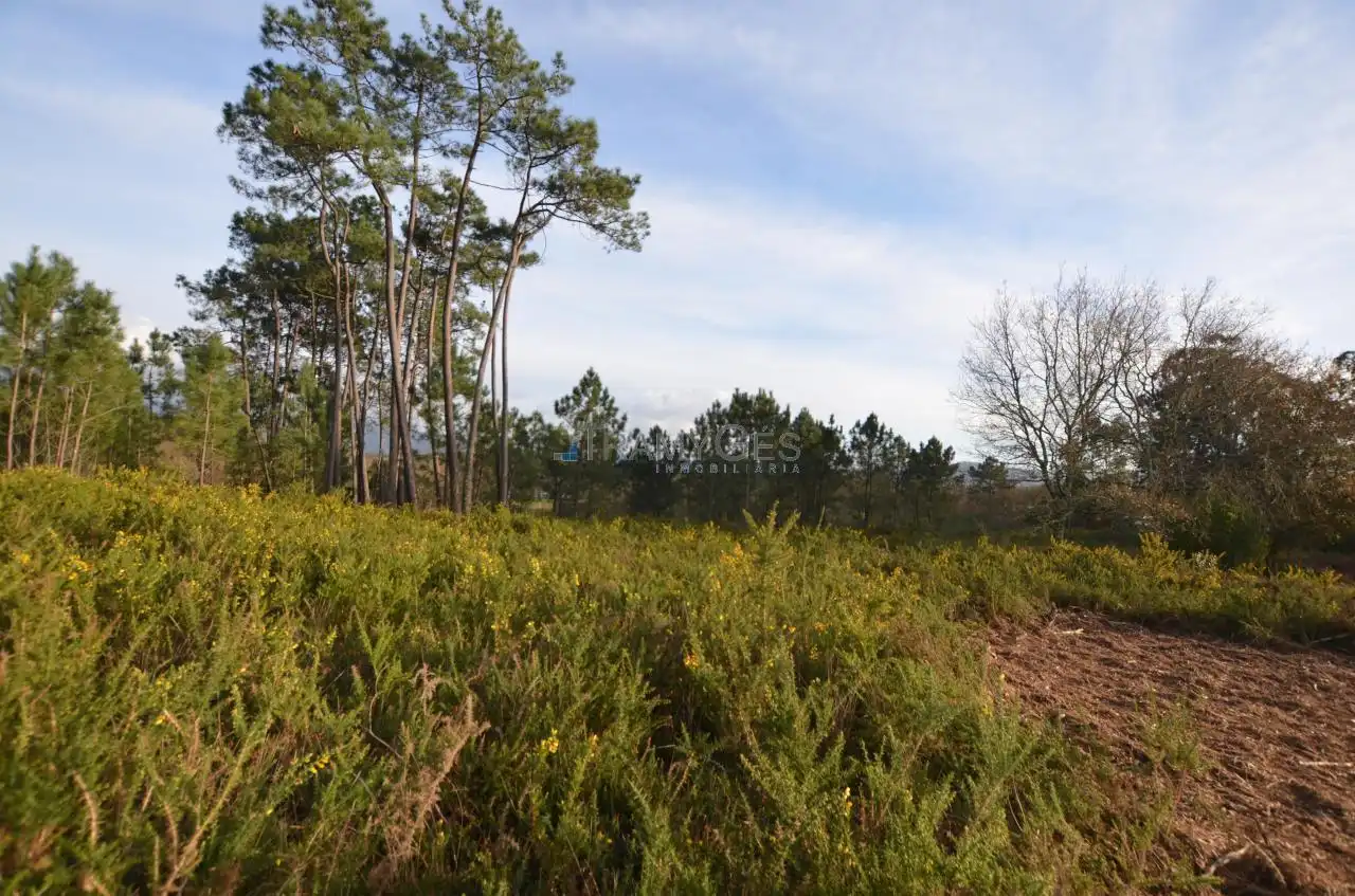 Terreno rustico in vendita a CARREGAL ABAIXO, imagen 7