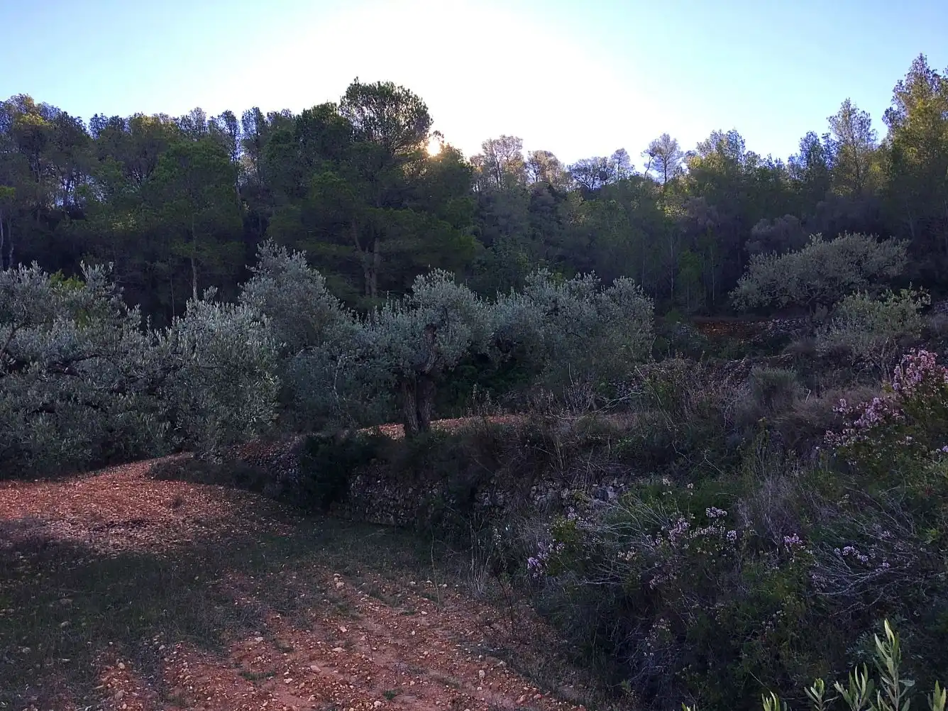 Maison à vendre à El Pinell de Brai, imagen 14