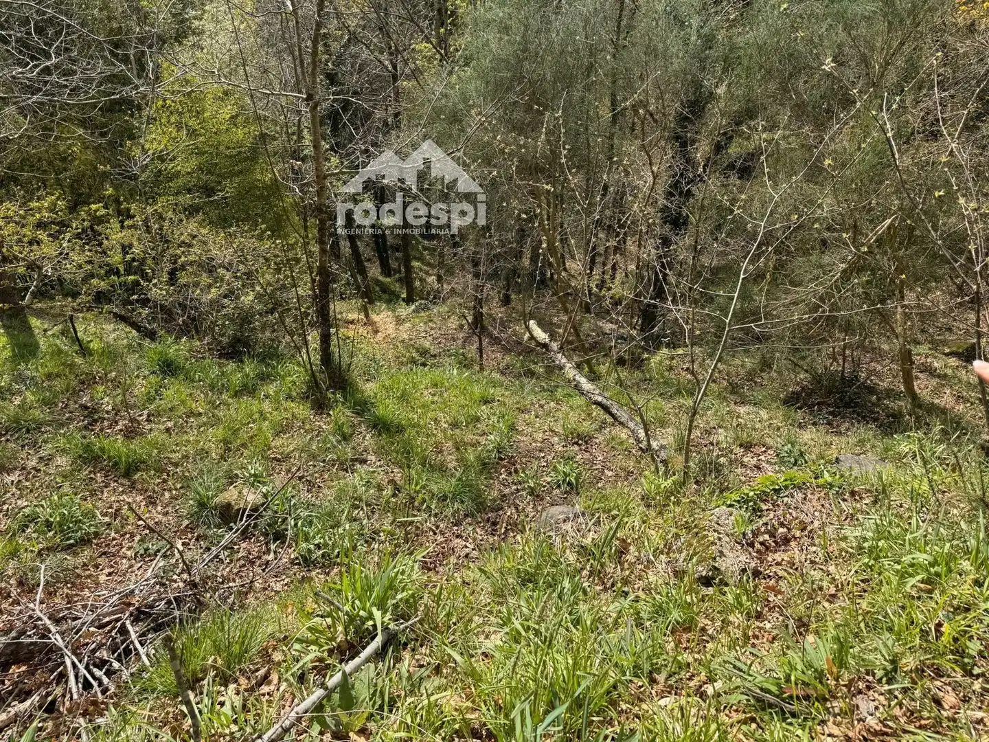Rural land for sale in Arbo, imagen 10