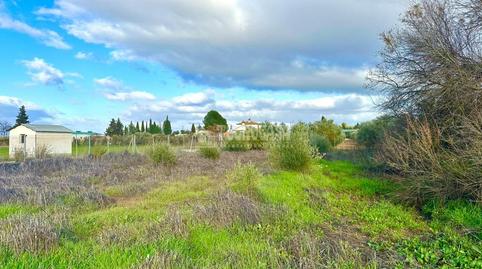 Foto 5 de Terreno en venta en Centro, Antequera