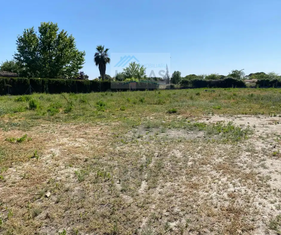 Terrains et parcelles à vendre à Diseminado Dehesa los Pinos, imagen 3