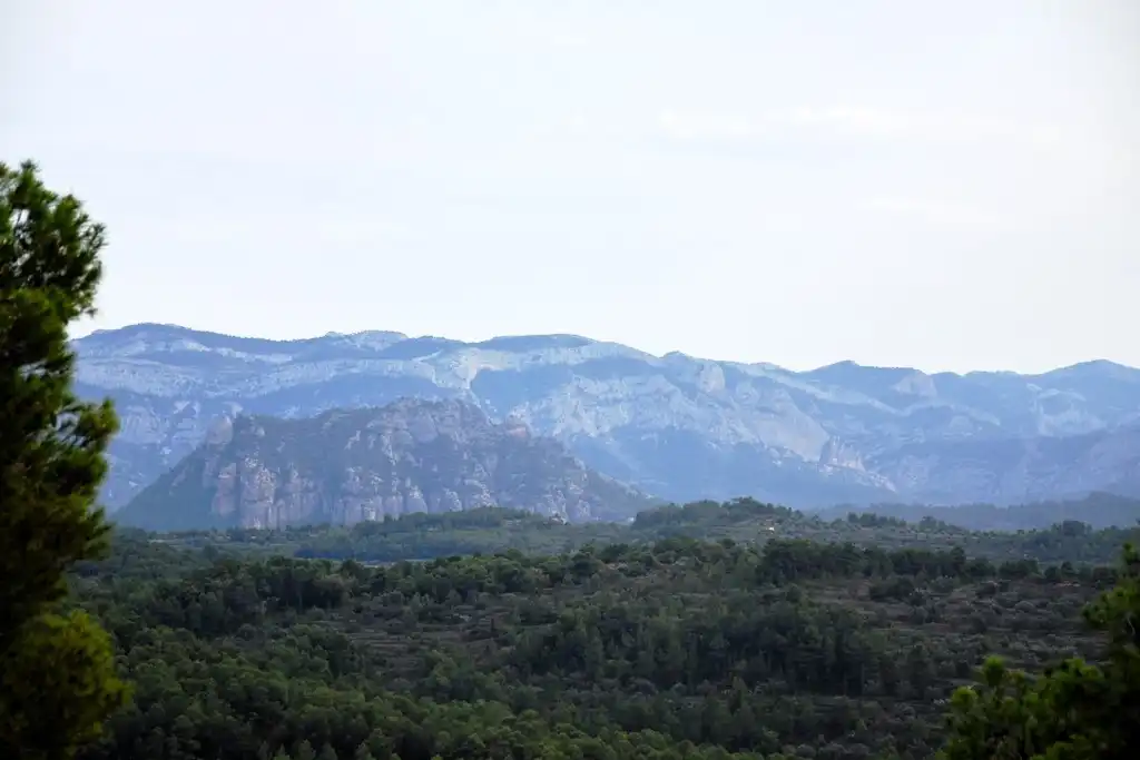 Vista exterior de Terreno en venta en Horta de Sant Joan