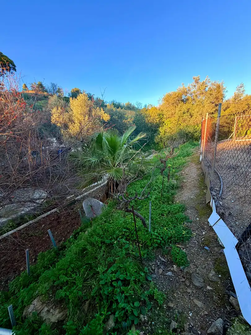 Grundstücke und Bauplätze zum Verkauf in Cortijo Cañada Los Granados, imagen 13