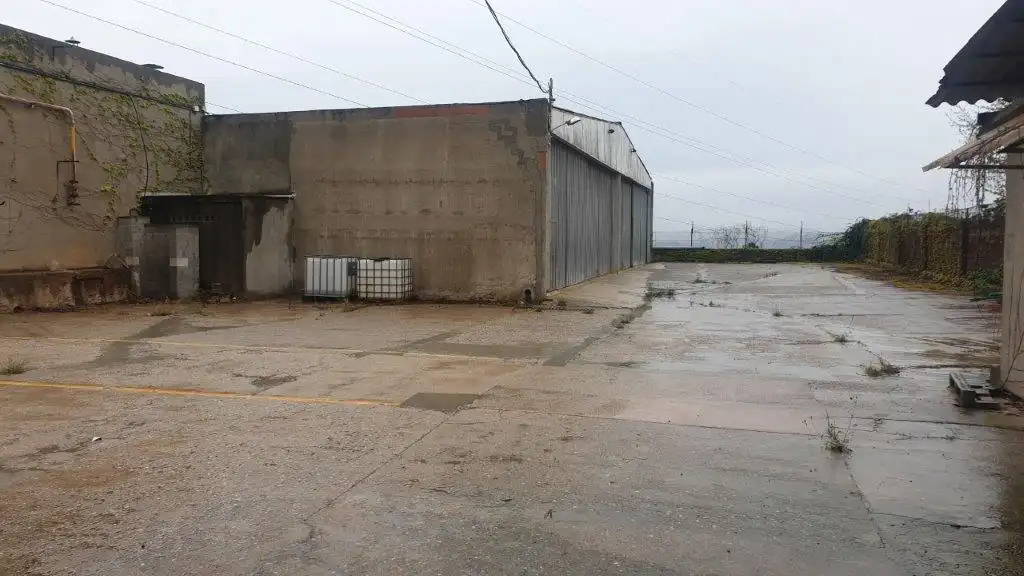Exterior view of Industrial buildings for sale in Castellbisbal