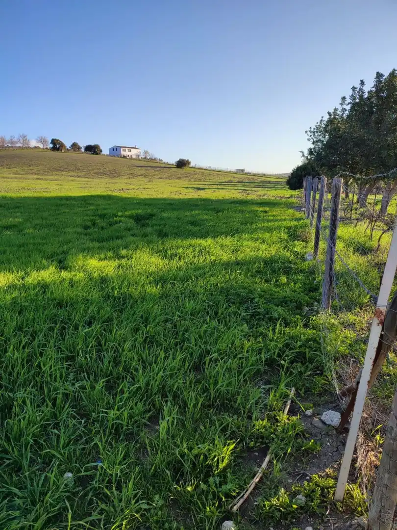 Terreno residencial en venta en Arcos de la Frontera, imagen 5