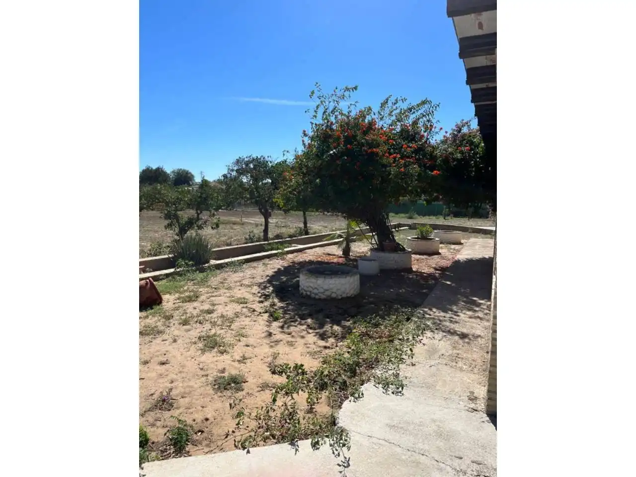 Finca rústica en venda a Morón de la Frontera