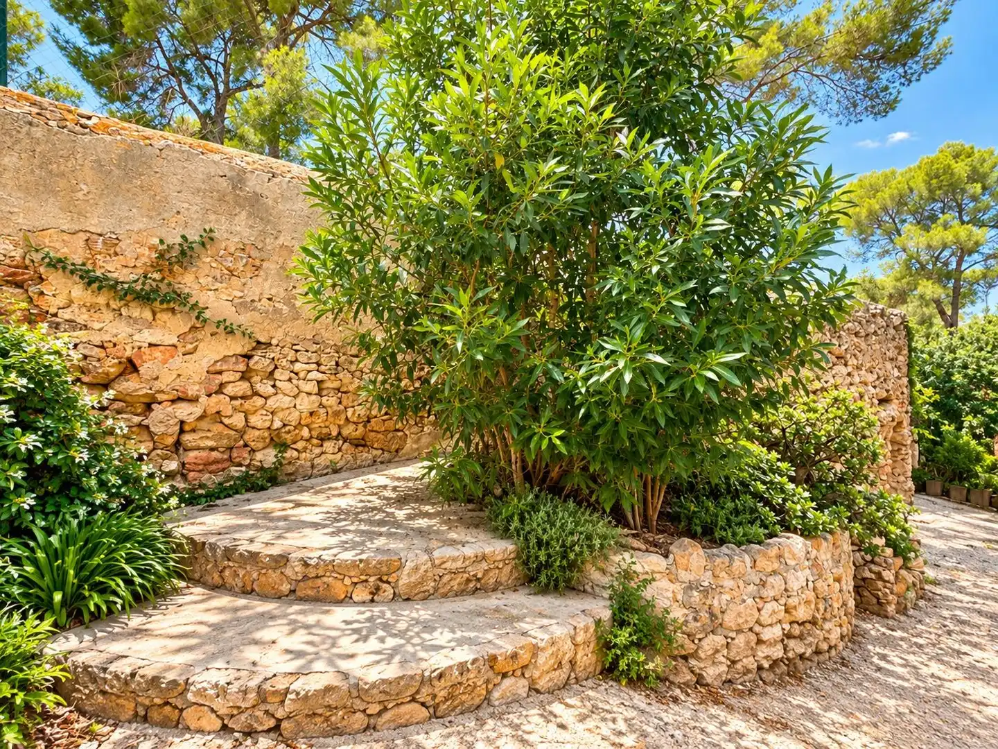 Appartamento con terrazza in affitto a Ponent, imagen 35