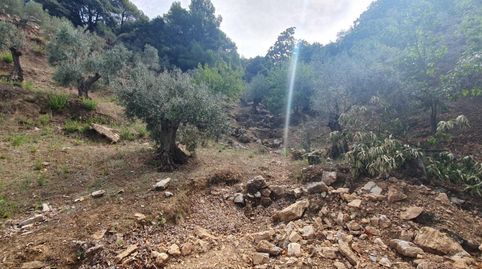 Foto 5 de Residencial en venta en Yunquera, Málaga