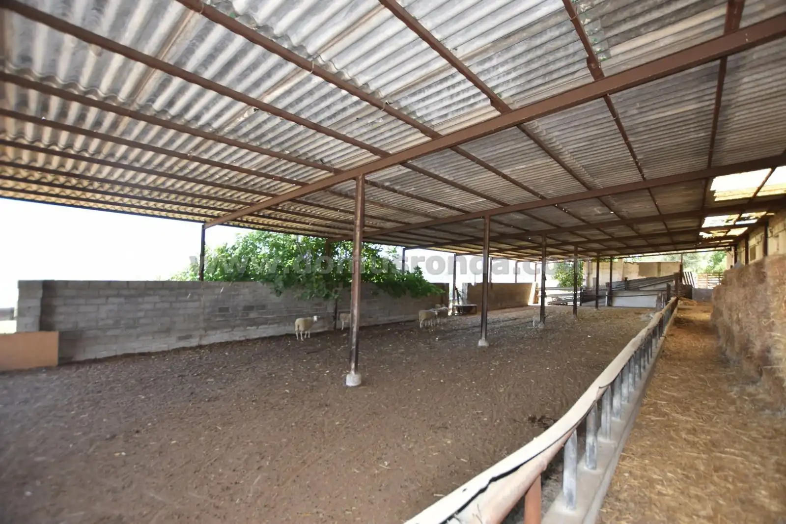 Vista exterior de Finca rústica en venda en Ronda amb Terrassa i Traster