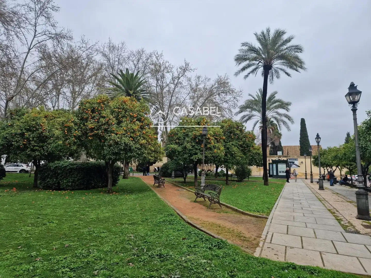 Vista exterior de Casa o chalet de alquiler en Córdoba con Terraza
