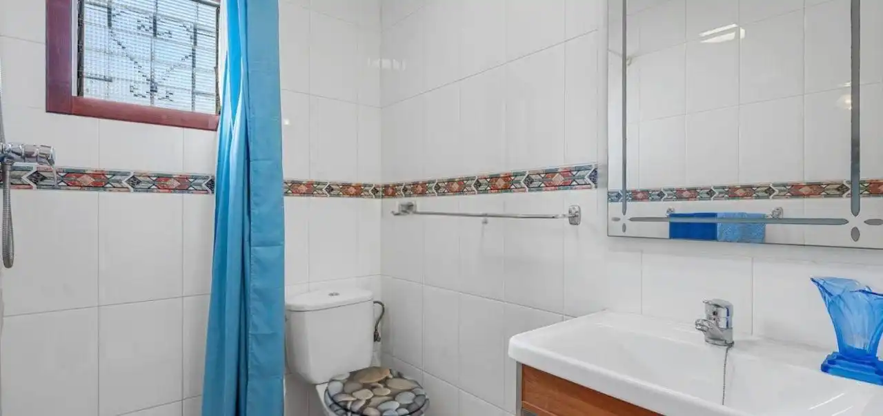 Bany de Casa o xalet en venda en Elche / Elx amb Aire condicionat, Jardí privat i Terrassa