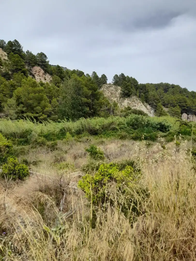 Rustikales Grundstück zum Verkauf in El Castell de Guadalest, imagen 14