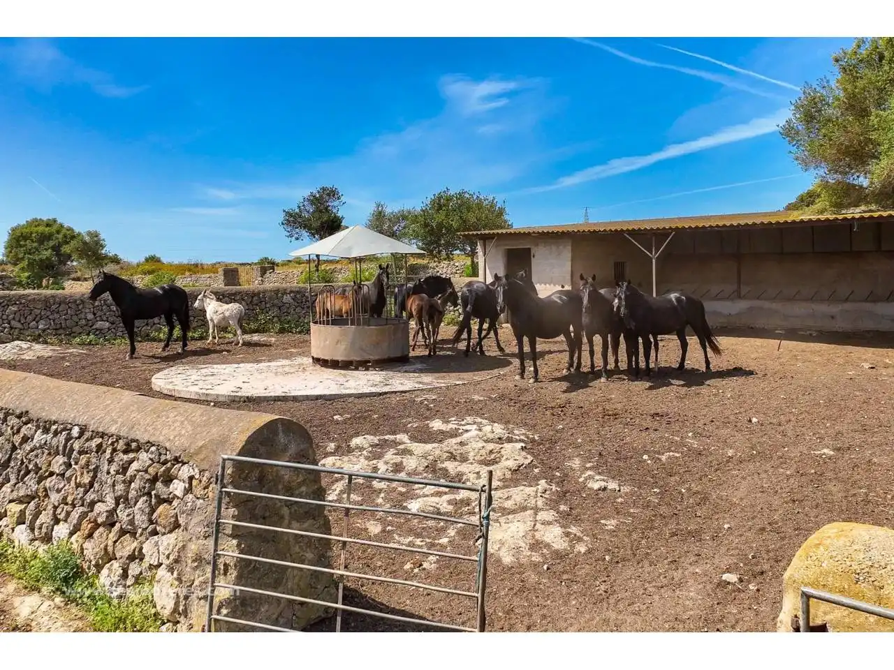 Exterior view of Land for sale in Ciutadella de Menorca