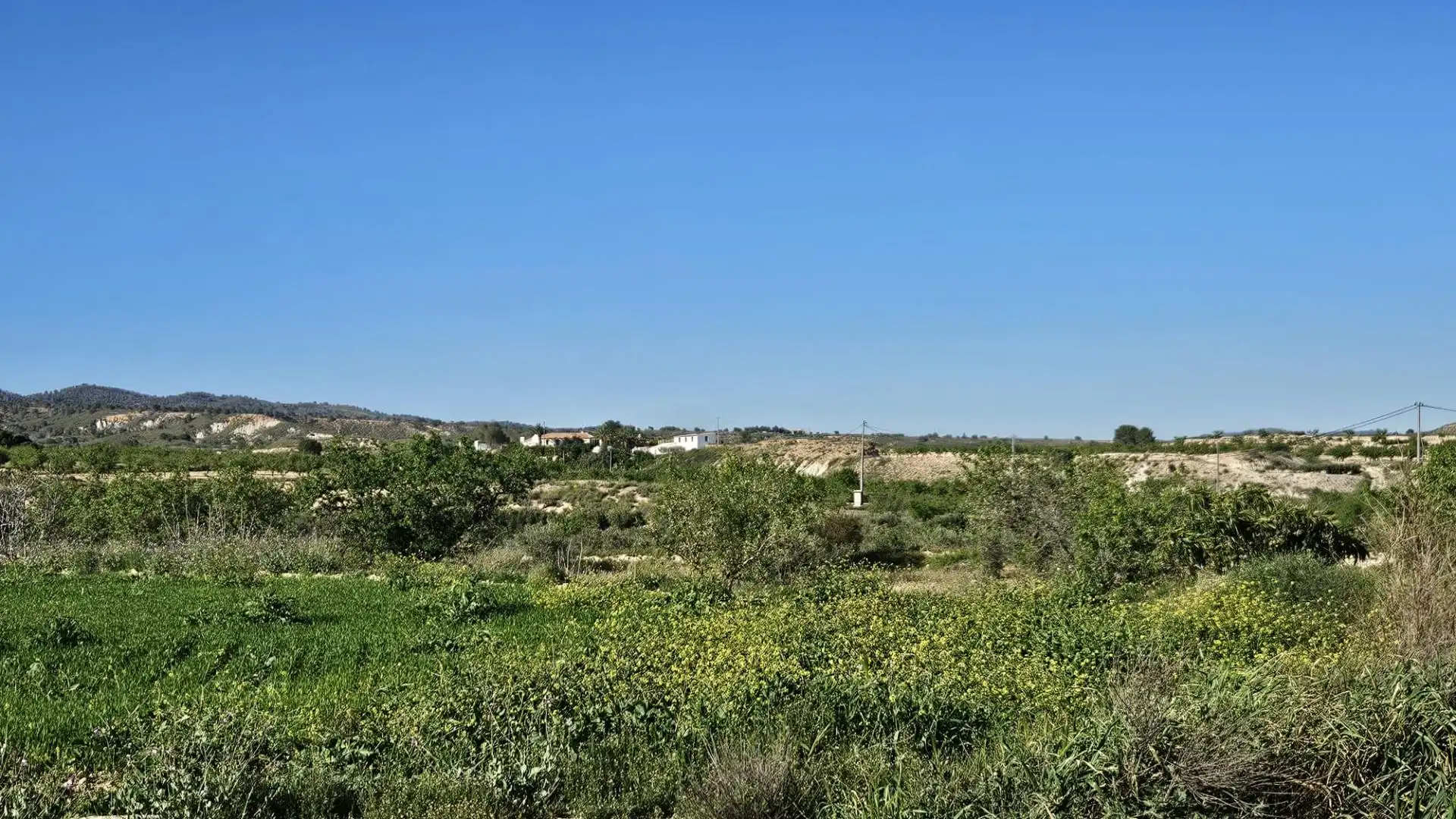 Terreny rústic en venda a Camino PARAJE LOS GARCIAS, imagen 4
