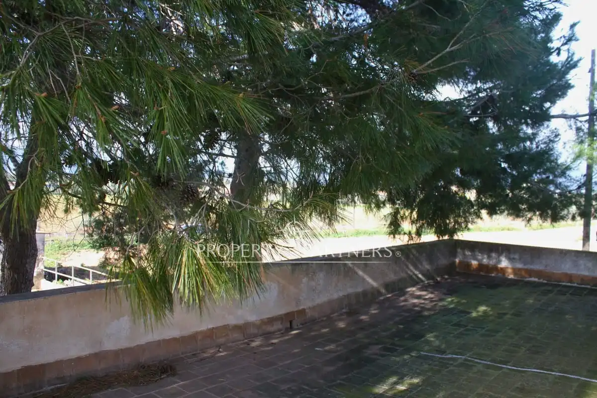 Xalet amb jardí en venda a Son Nebot, imagen 22