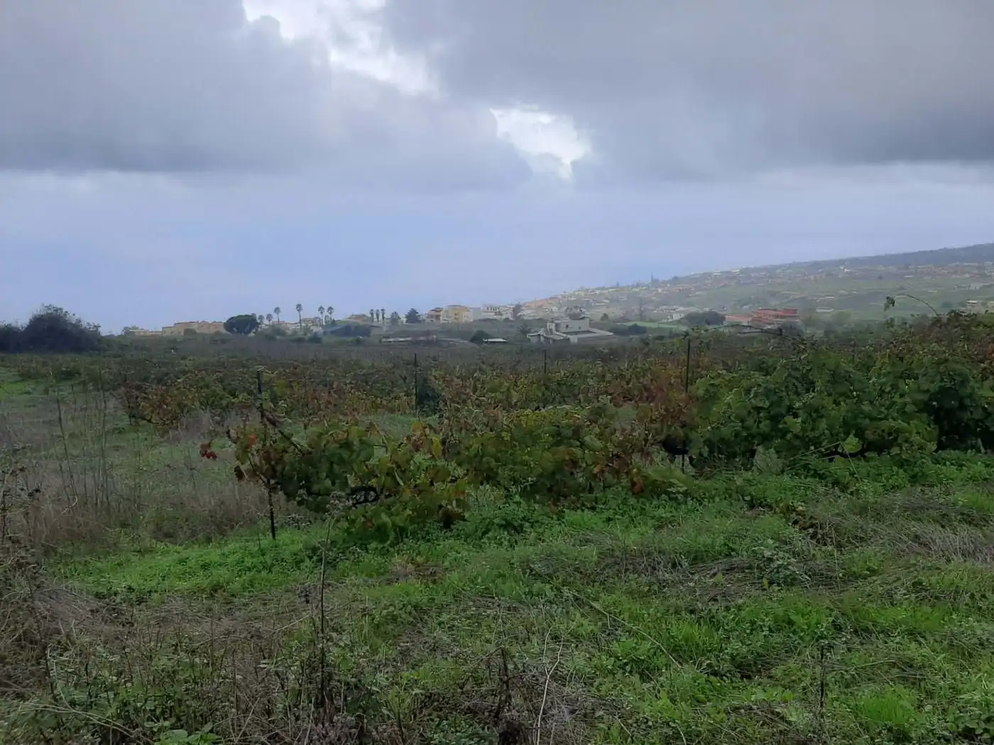 Terreny rústic en venda a CRUZ DE LEANDRO, imagen 8