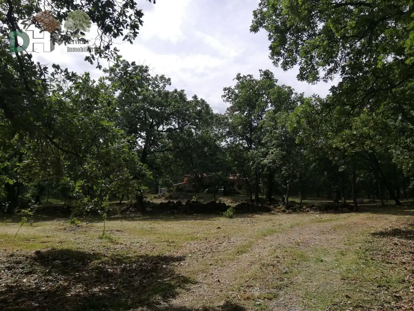 Finca rústica en venda a Perales del Puerto