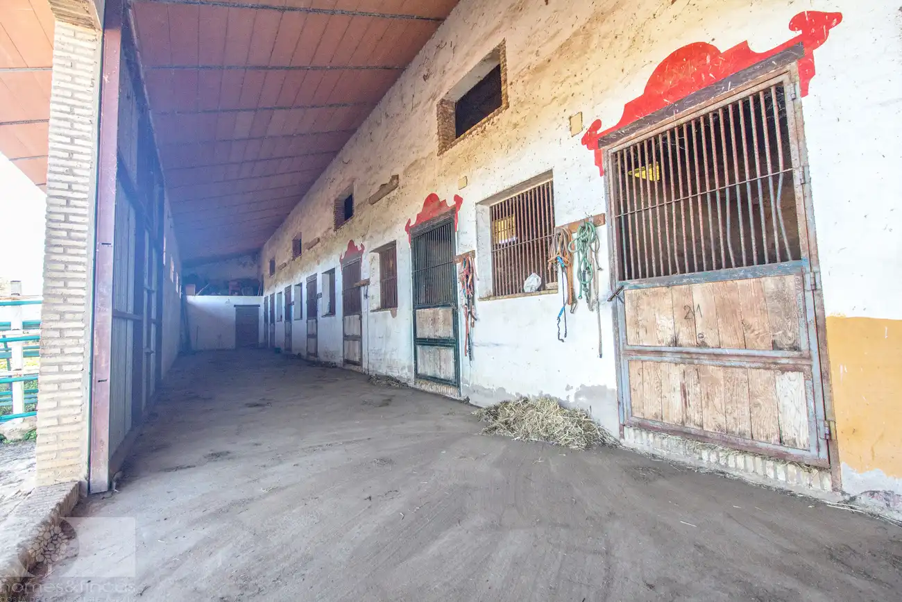 Finca rústica en venta en Trigueros