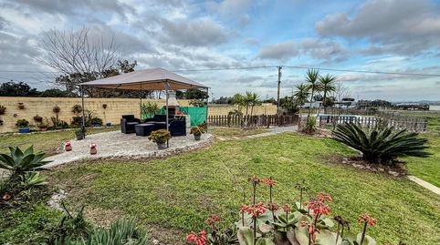 Foto 3 de Finca rústica en venta en N/a, Gibraleón, Huelva