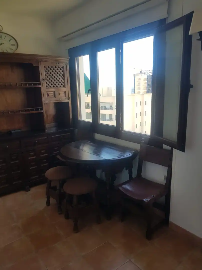 Wohnung mit Terrasse zur Miete in Calle el Plátano, imagen 19