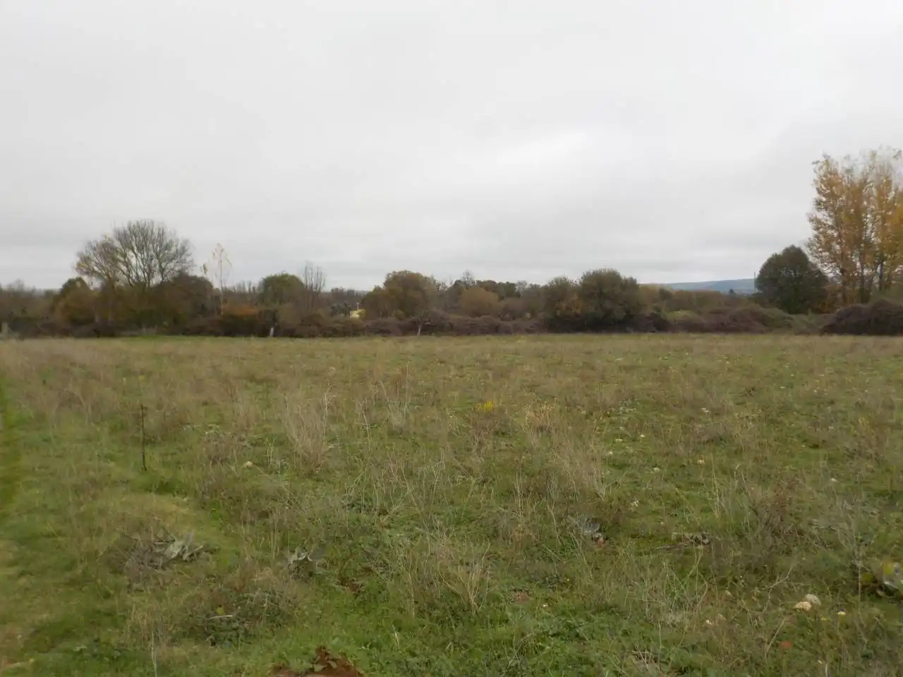 Terreno residenziale in vendita a Poligono 20, imagen 6