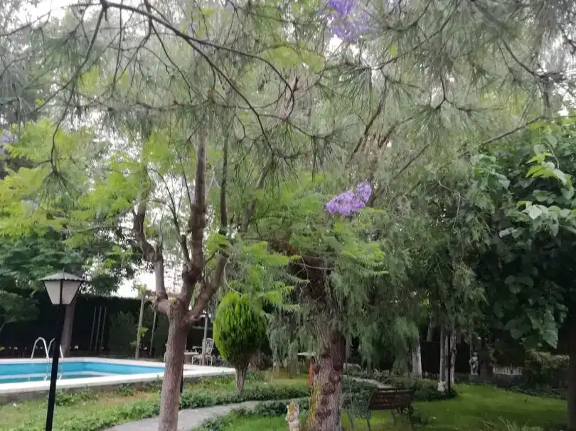 Jardín de Casa o chalet en venta en Sant Joan de Moró con Piscina
