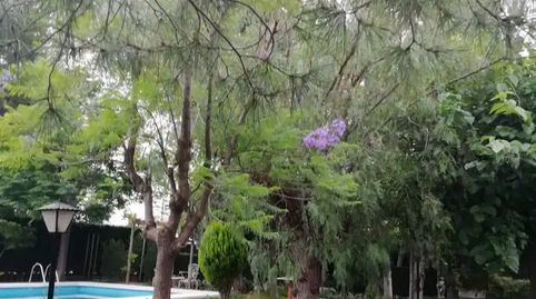 Foto 4 de Casa o chalet en venta en Sant Joan de Moró, Castellón