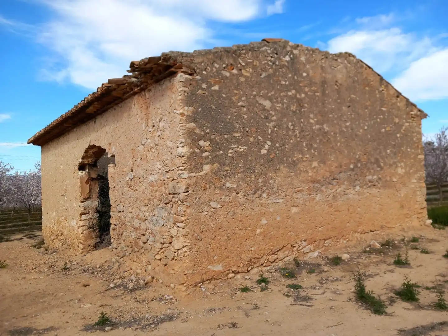 Vista exterior de Terreno en venta en Vila-rodona