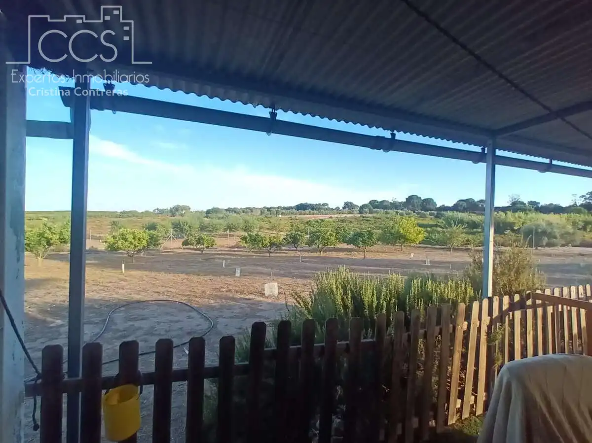 Finca rústica en venda en Bollullos Par del Condado amb Jardí privat i Moblat