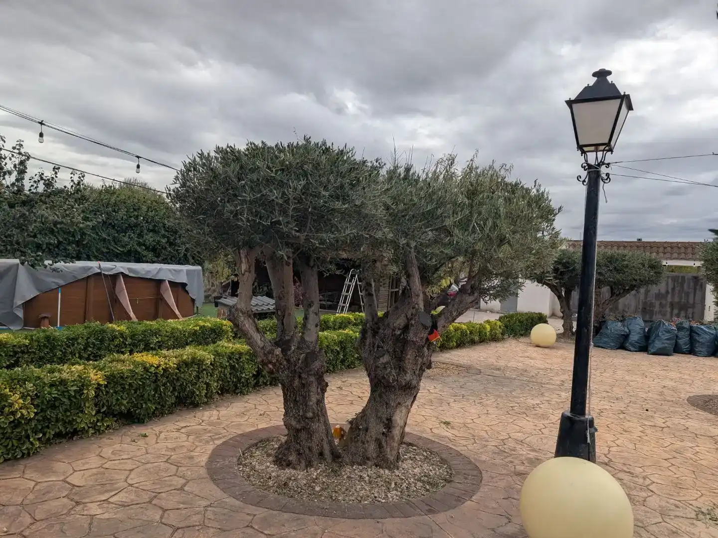 Jardí de Pis en venda en Mejorada del Campo amb Aire condicionat i Piscina