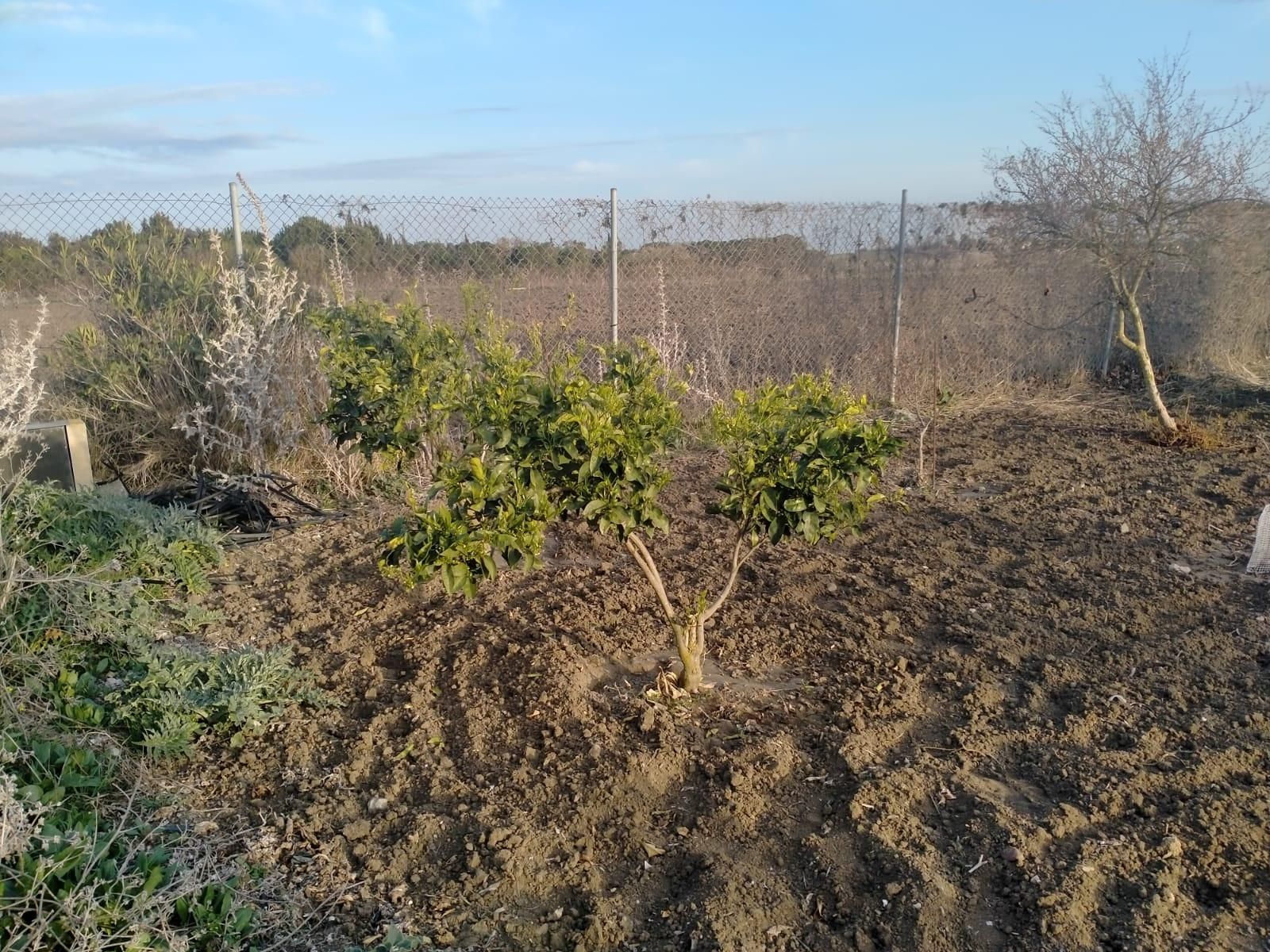 Residential for sale in Chipiona