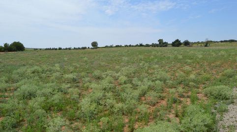 Este terreno se encuentra en Paraje, Aldehuela, 16400, Tarancón, Cuenca. Es un terreno que tiene 9295 m2 .



Inmobiliaria Teó, immagine 2