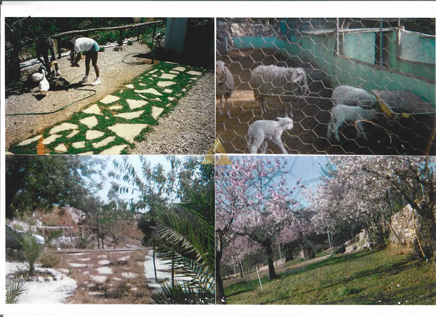 Lands and plots for sale in Las Atalayas - Urmi - Cerro de Mar, imagen 8