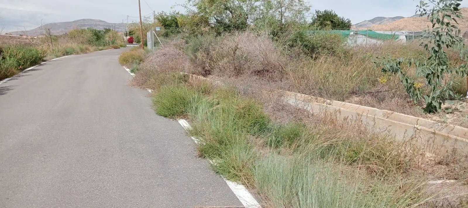 Rustikales Grundstück zum Verkauf in Partidas de Alicante, imagen 2
