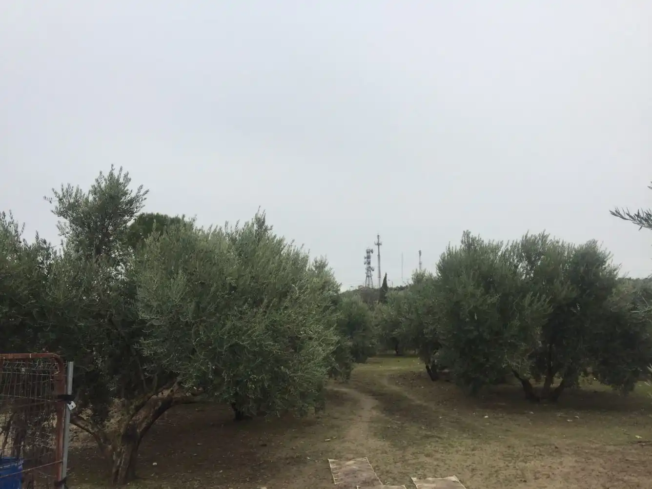 Terrenos y solares en venta en Úbeda, imagen 5