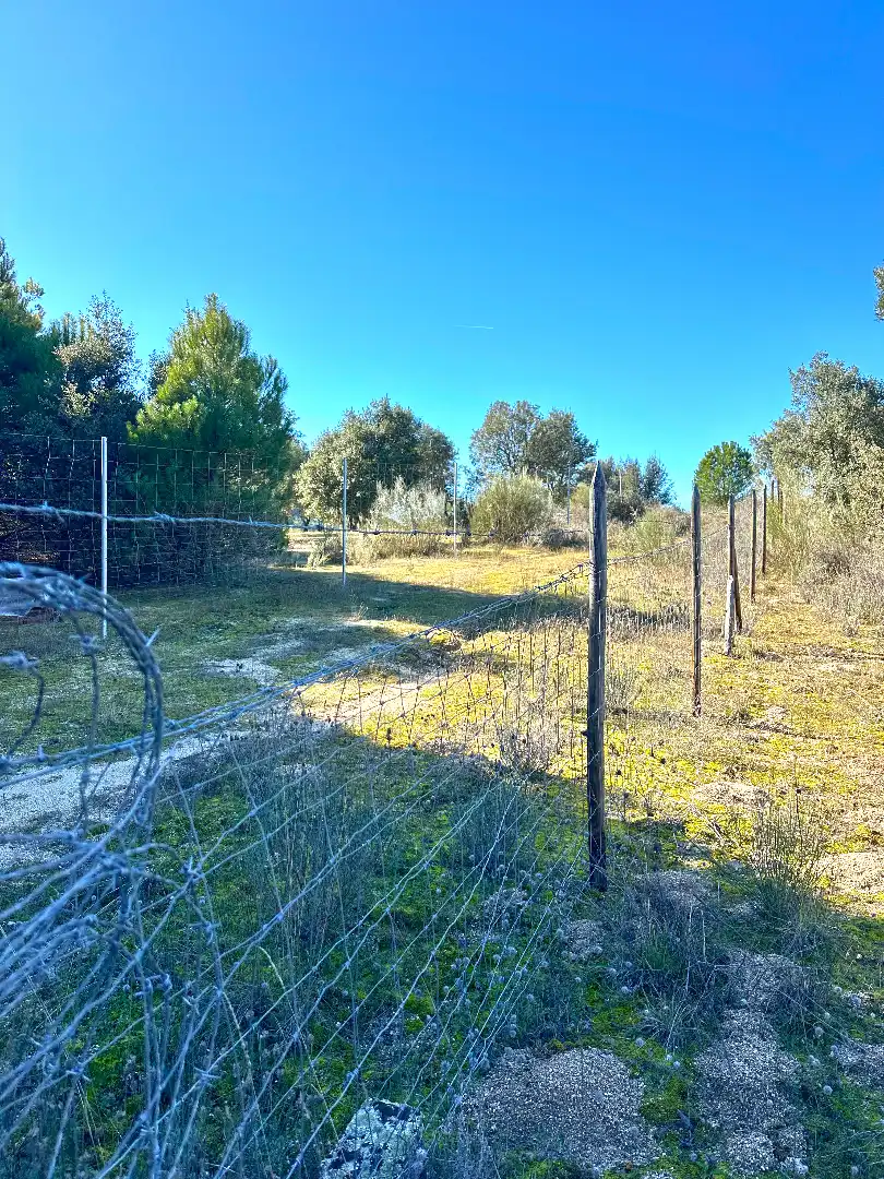 Land for sale in N/A, -1, Cebreros