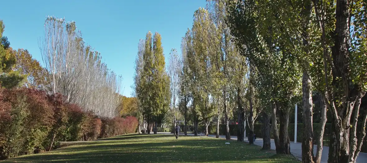 Exterior view of Houses for sale in Sant Cugat del Vallès  with Air Conditioner, Heating and Private garden