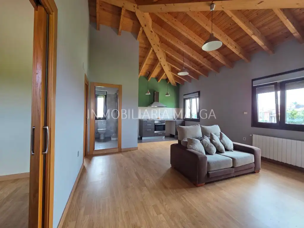 Sala d'estar de Casa o xalet en venda en Colunga amb Calefacció i Parquet