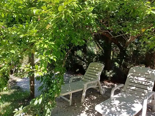 Casa con jardín en venta en PO-9202, imagen 9