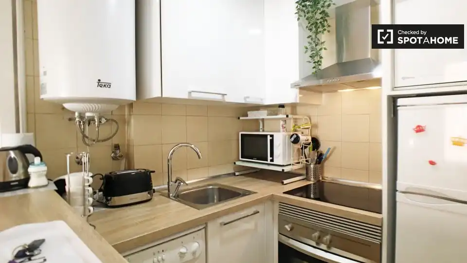 Flat with terrace to rent in Centro, imagen 8