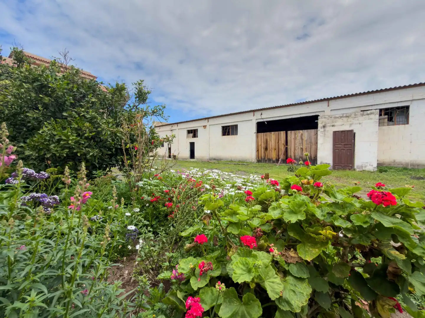Exterior view of Houses for sale in Icod de los Vinos  with Private garden, Terrace and Balcony