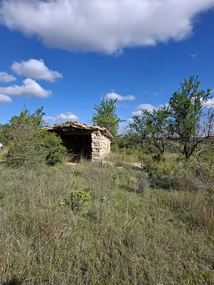Finca rústica en venta en Vilalba dels Arcs