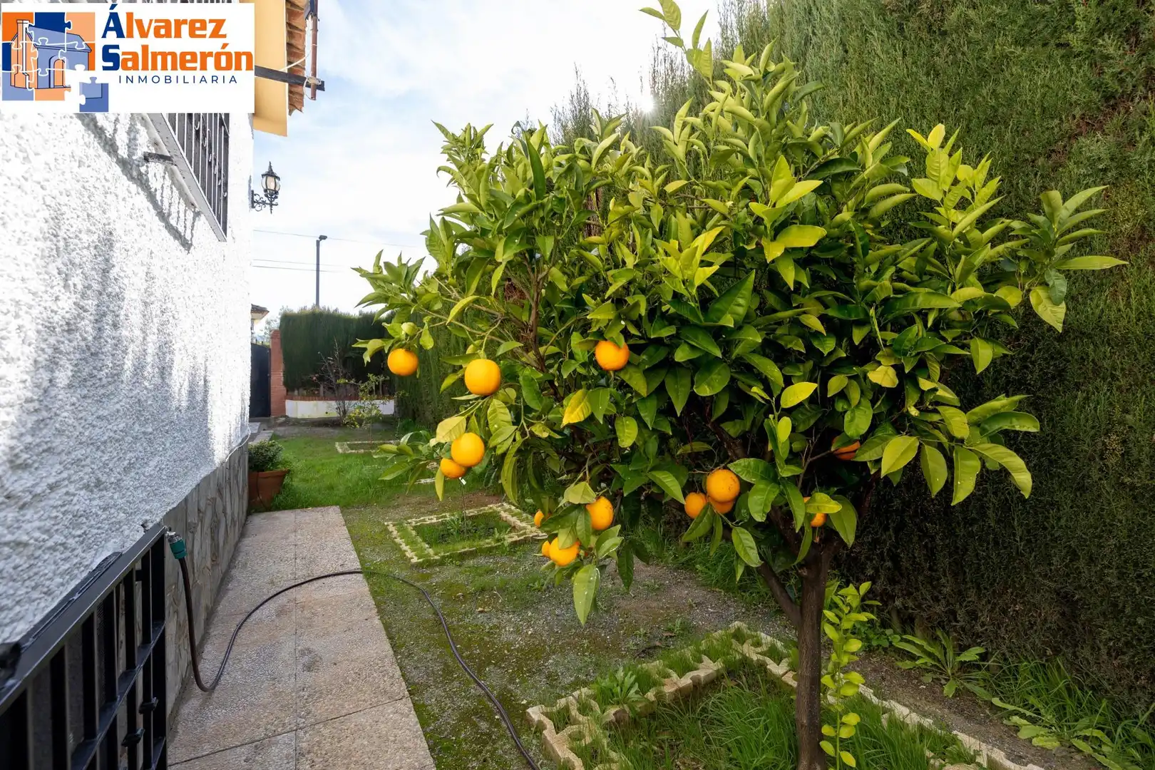 Villa mit Pool zum Verkauf in Calle Alijares, imagen 62