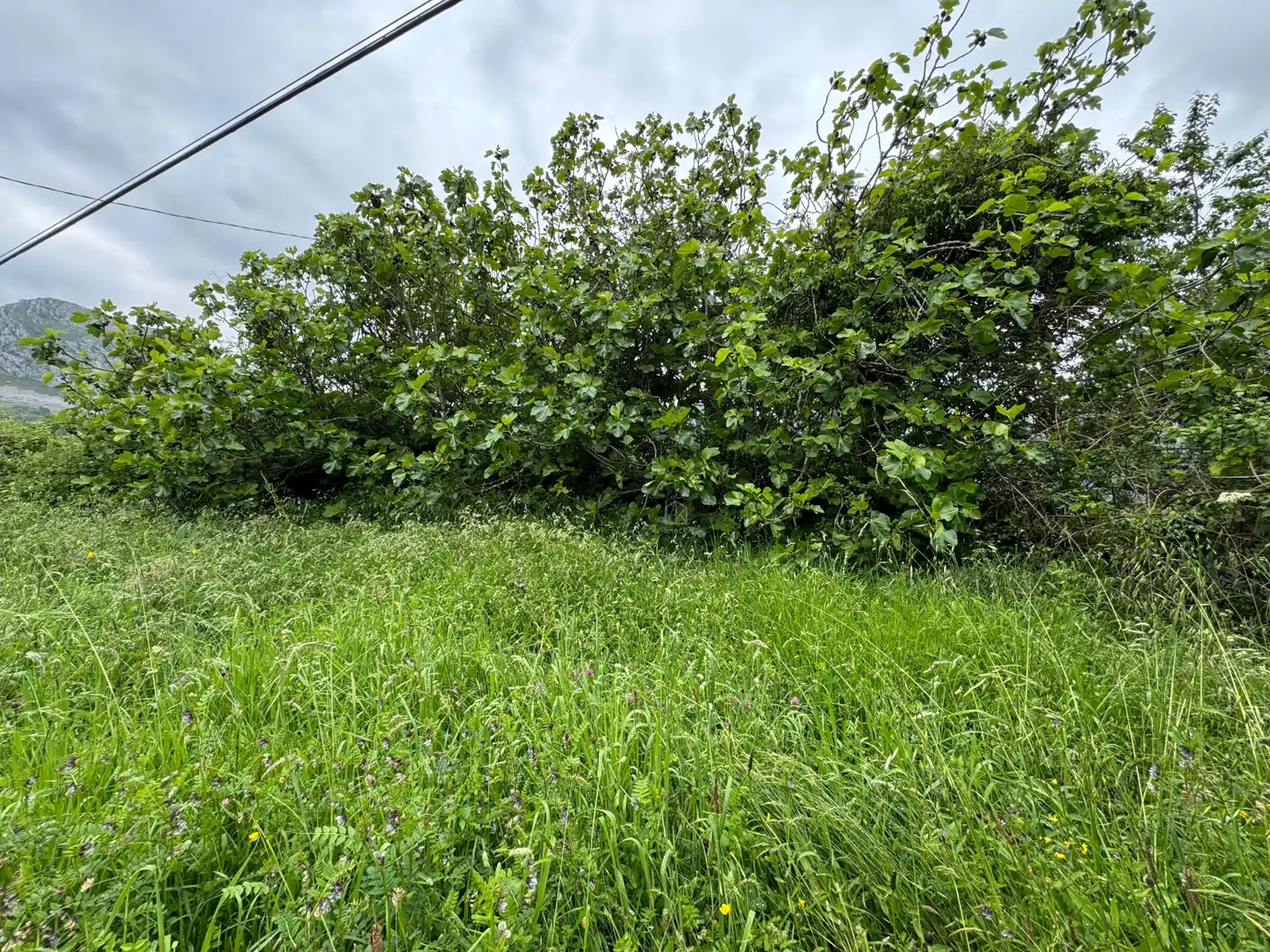 Detached homes for sale in Amieva - PB PEN, 14, Amieva