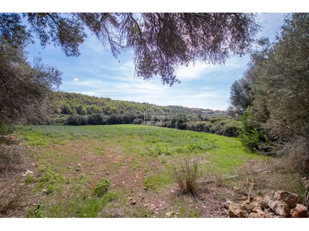 Country homes for sale in Son Bou - Sant Jaume