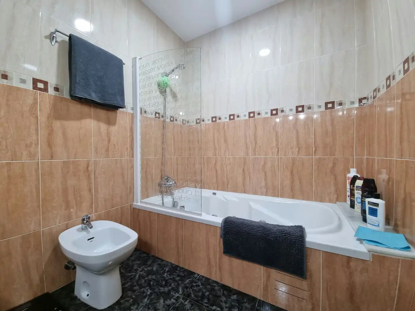 Bathroom of Detached homes for sale in Olot  with Heating, Furnished and Balcony