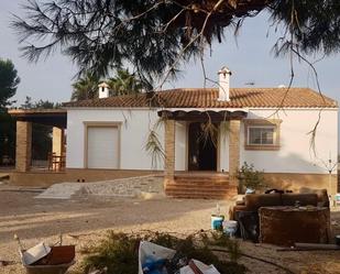 Vista exterior de Casa o xalet de lloguer en Dolores amb Jardí privat i Terrassa